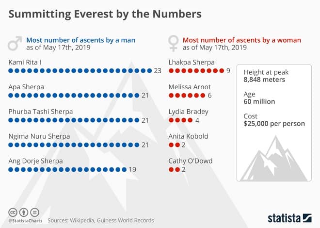 Everest Infographic