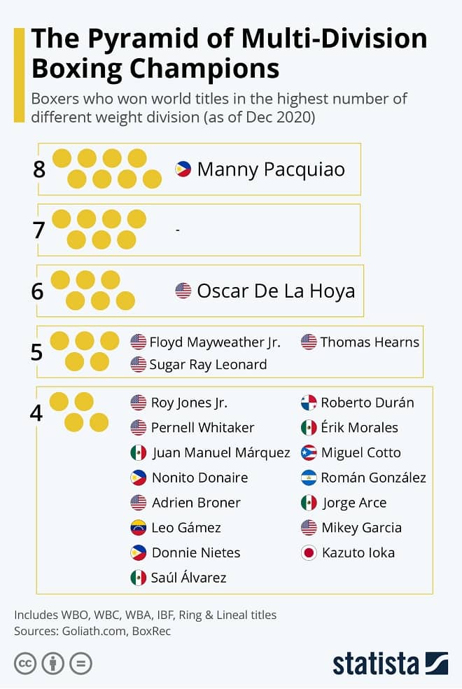 Boxing Infographic