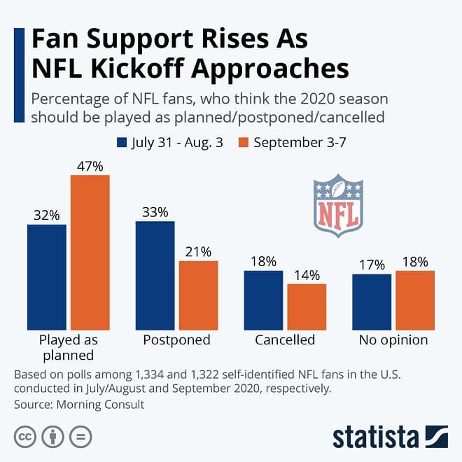 NFL Fan Support Infographic